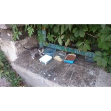 Дикая фауна - 03.jpg Дикая фауна - 03.jpg